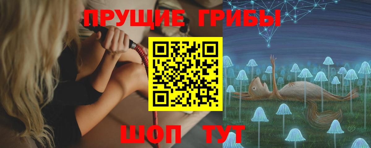 Псилоцибиновые грибы GOLDEN TEACHER  продажа наркотиков  Вход с VPN  Кудрово  Псилоцибиновые грибы мухоморы 